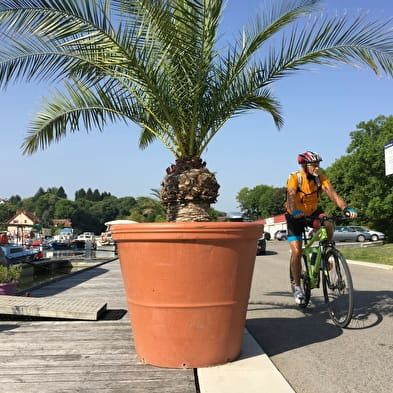 Le Grand tour du Doubs à vélo 