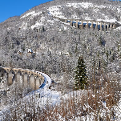 La Ligne des Hirondelles