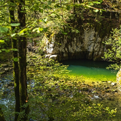 Circuit Découverte de la Bienne