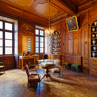 Apothicairerie de l'hôtel-dieu - LONS-LE-SAUNIER