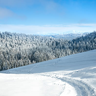 La Renon - Piste verte de ski nordique