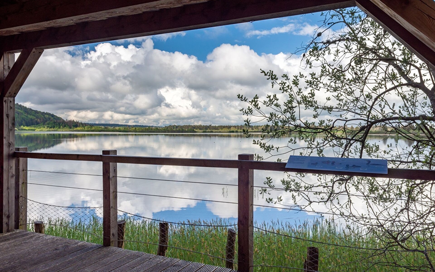 Découverte des Rives du lac de Bouverans