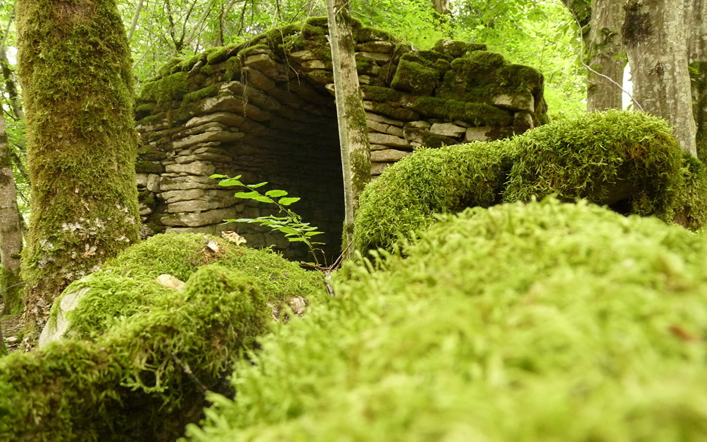 Sentier des pierres sèches