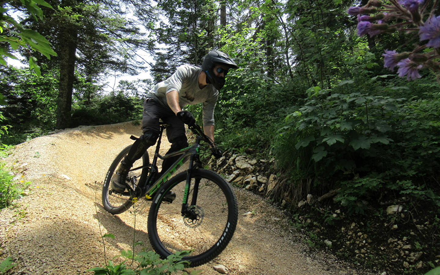Piste VTT Descente - bleu - la Dégringolée - Espace Ain Forestière