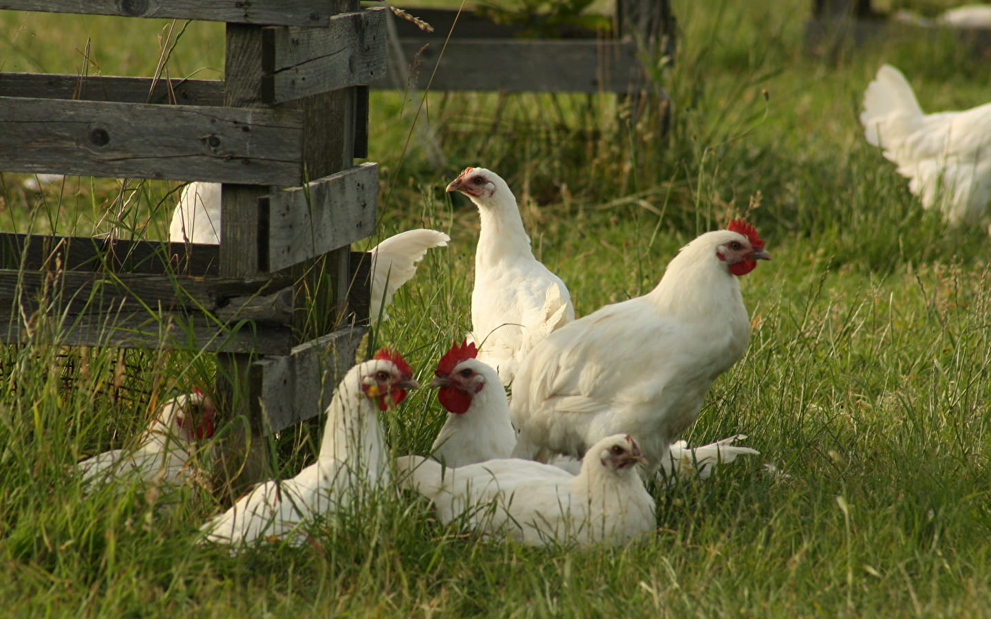 La Ferme Josserand