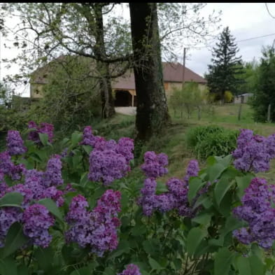 Gîte de la Corne au Cerf