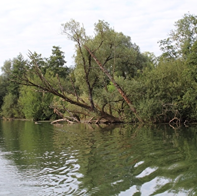 Valleroy et les berges de l'Ognon
