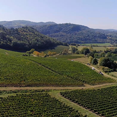 Domaine du Clos de la Bierle