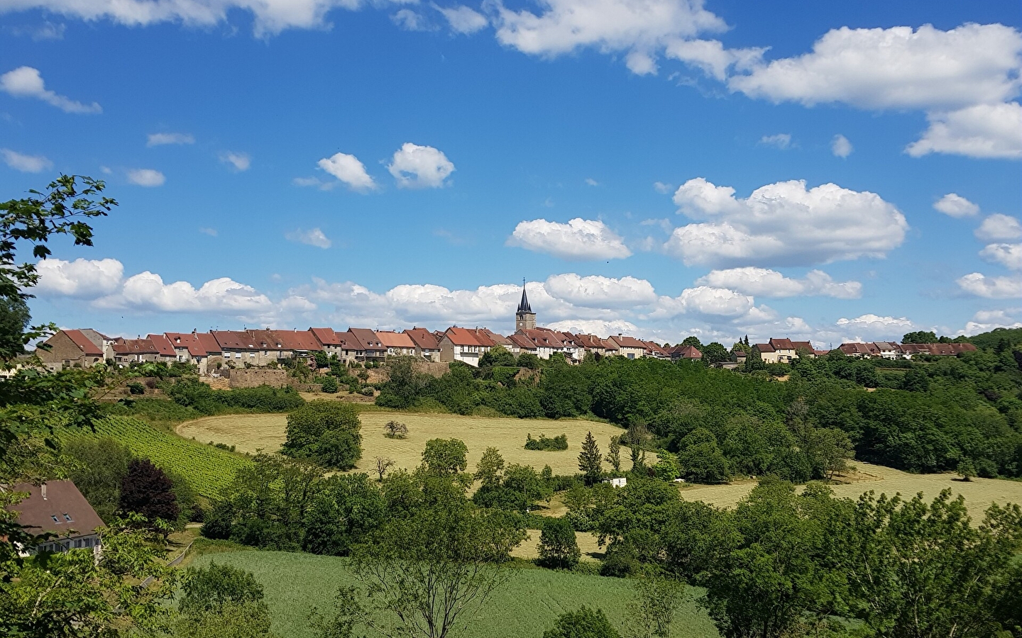 Balade à Montaigu