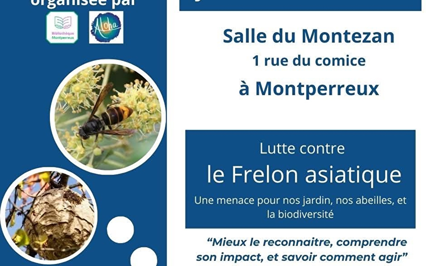 Réunion publique - Lutte conte le frelon asiatique