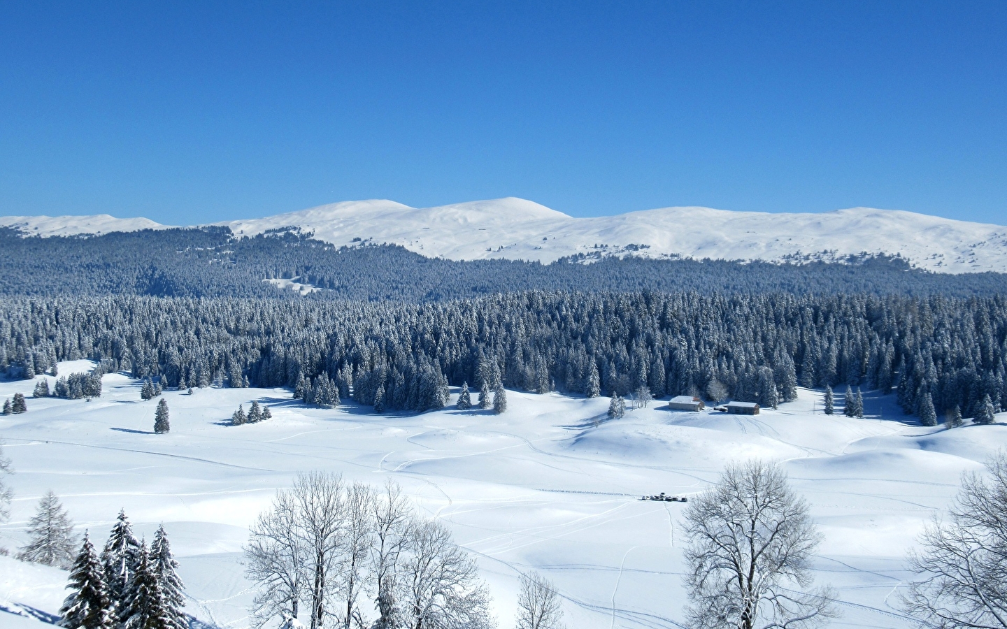 La découverte des Hautes-Combes du Jura en raquettes