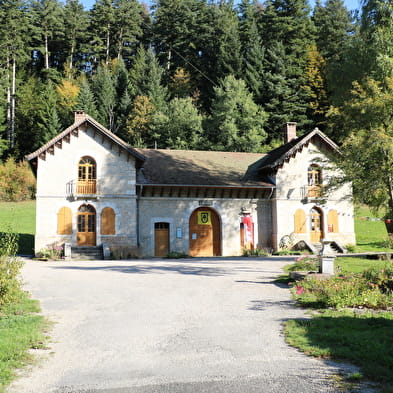 La Route des Sapins