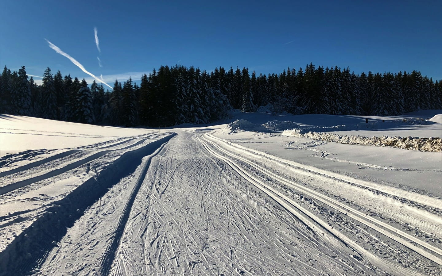 Piste de ski de fond de Lachat : petite verte