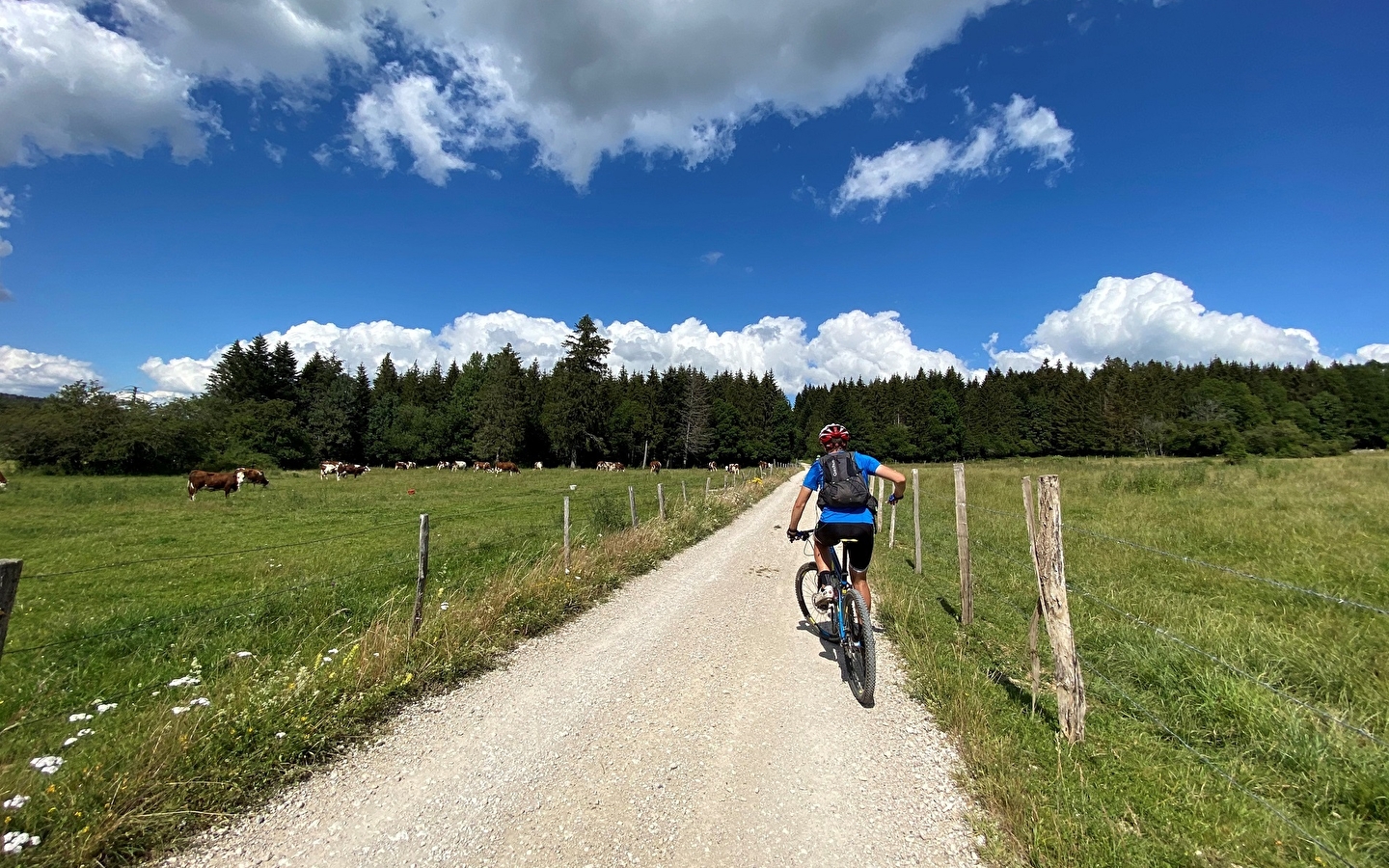 Balade VTT accompagnée