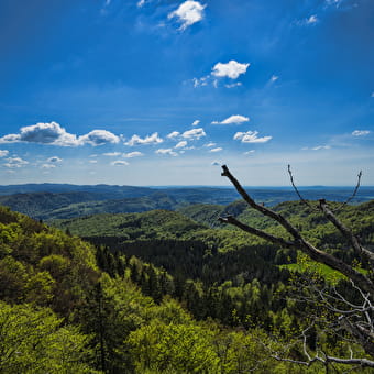 Belvédère du Bulay - FONCINE-LE-HAUT