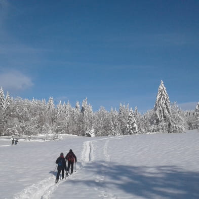 Site Nordique de Morbier