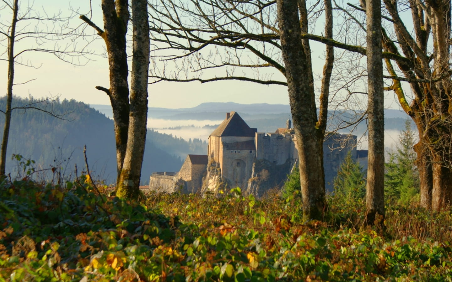 Point de vue de la Fauconnière