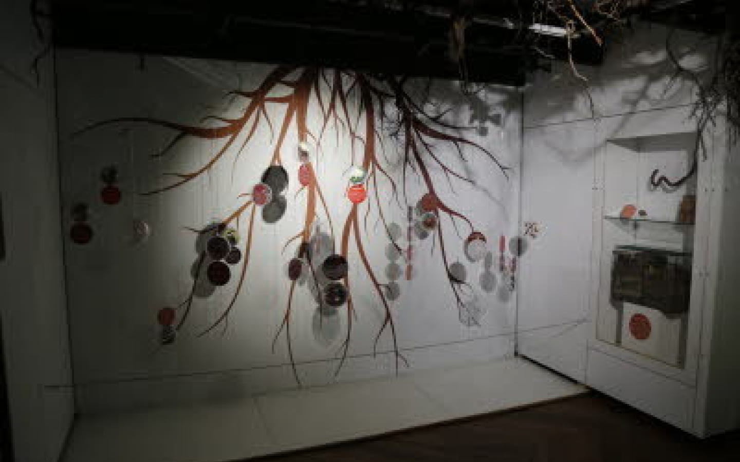 EXPOSITION LA DAMASSINE - LA VIE SECRÈTE DU SOL