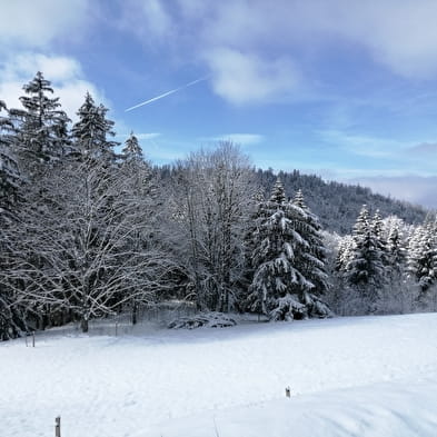 Piste bleue de ski nordique - La ferme Guichard depuis La Praille