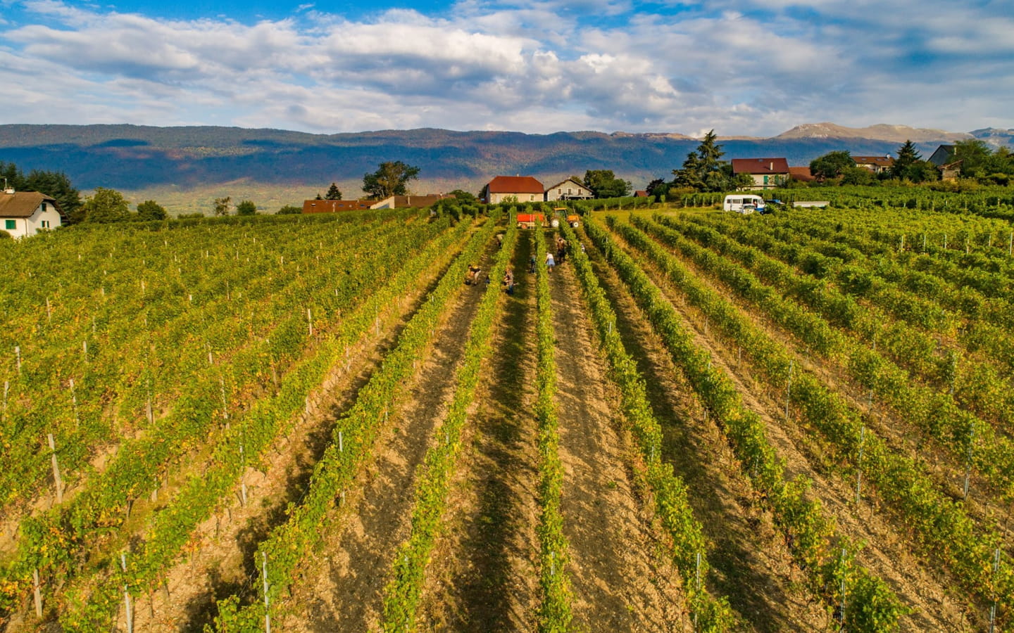 Domaine de Mucelle