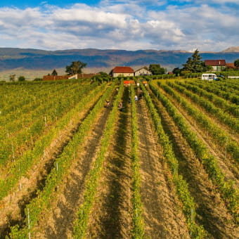 Domaine de Mucelle - CHALLEX