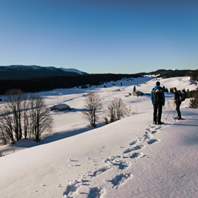 La découverte des Hautes-Combes du Jura en raquettes