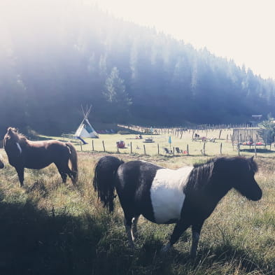 Aire naturelle de camping - La Ferme de l'Enquerne