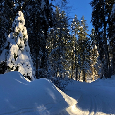 Piste verte de ski de fond de Lachat : Les Plânes