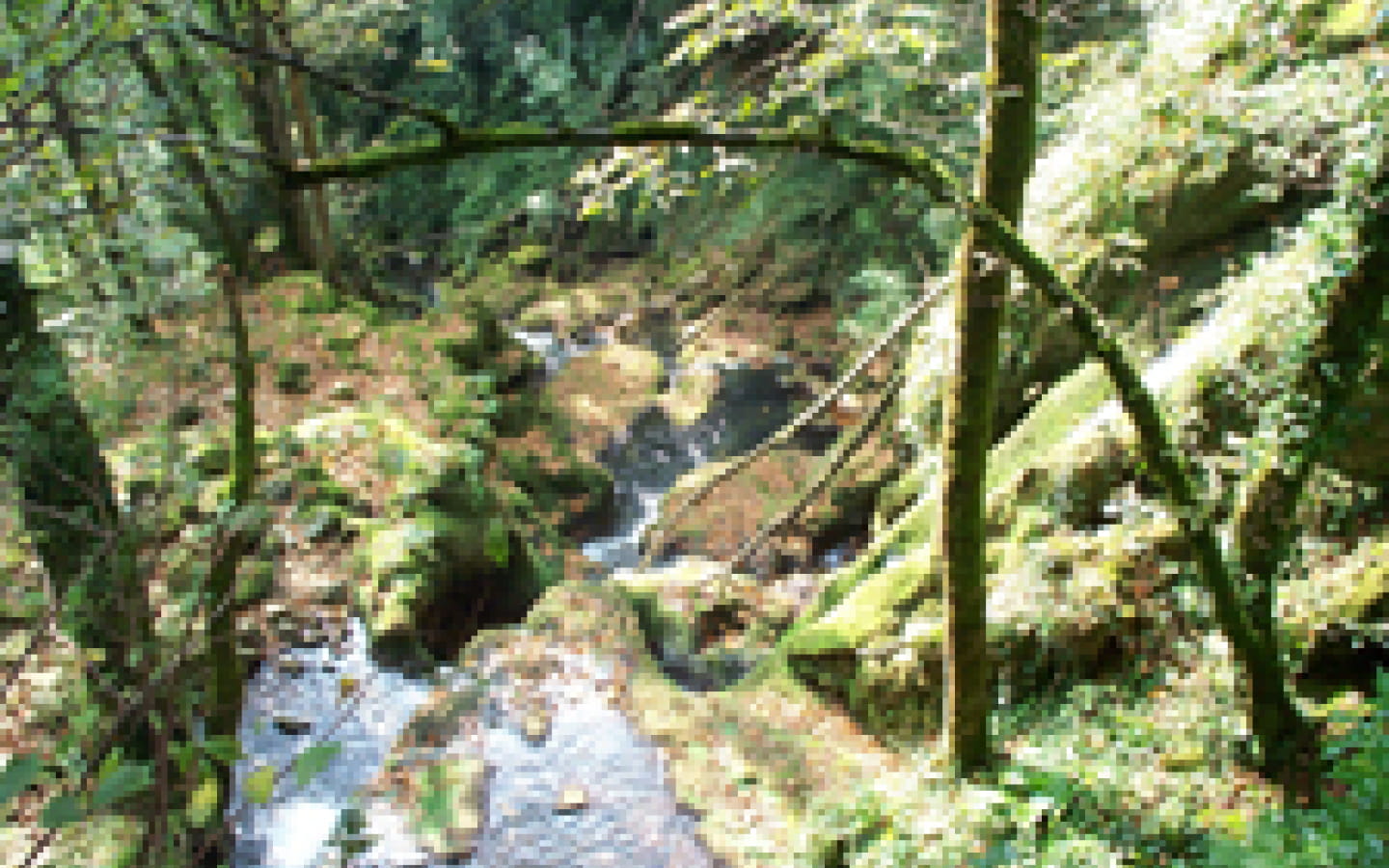 Les paysages karstiques