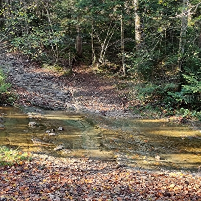 Randonnée - Du Landeyron aux Fècles