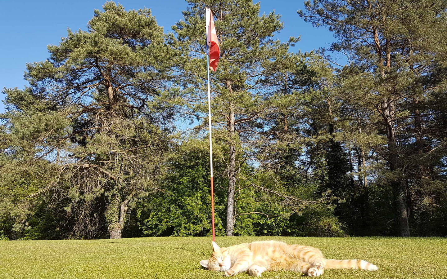 Evad'Parc Swingolf, Footgolf et Greenfoot