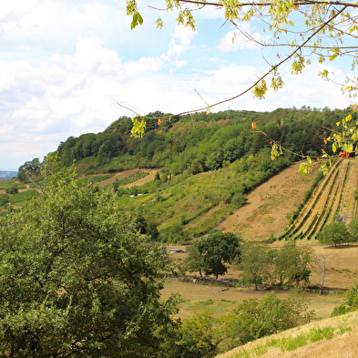 Le sentier du Buizin