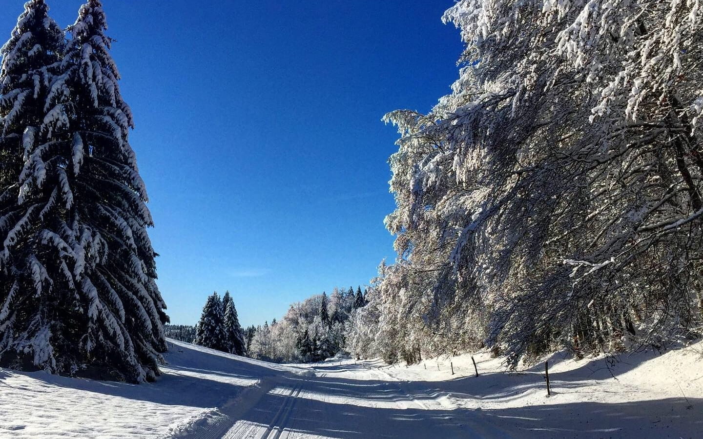 Piste bleue de ski de fond du Plateau de Retord : La Cuaz