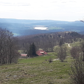 Les Rochers du Larmont - PONTARLIER