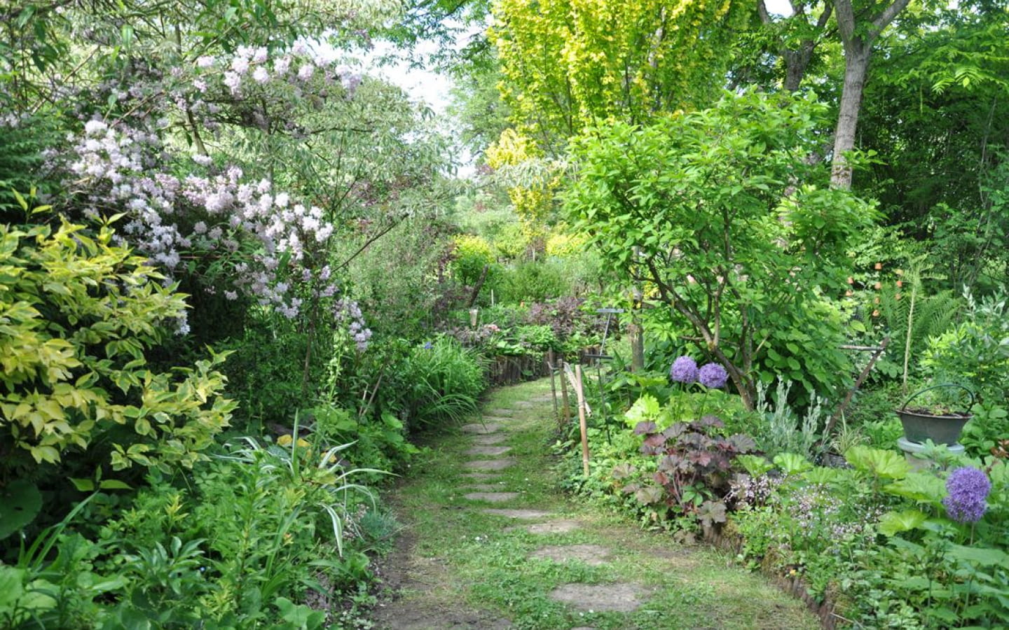 Jardin de méli-mélo