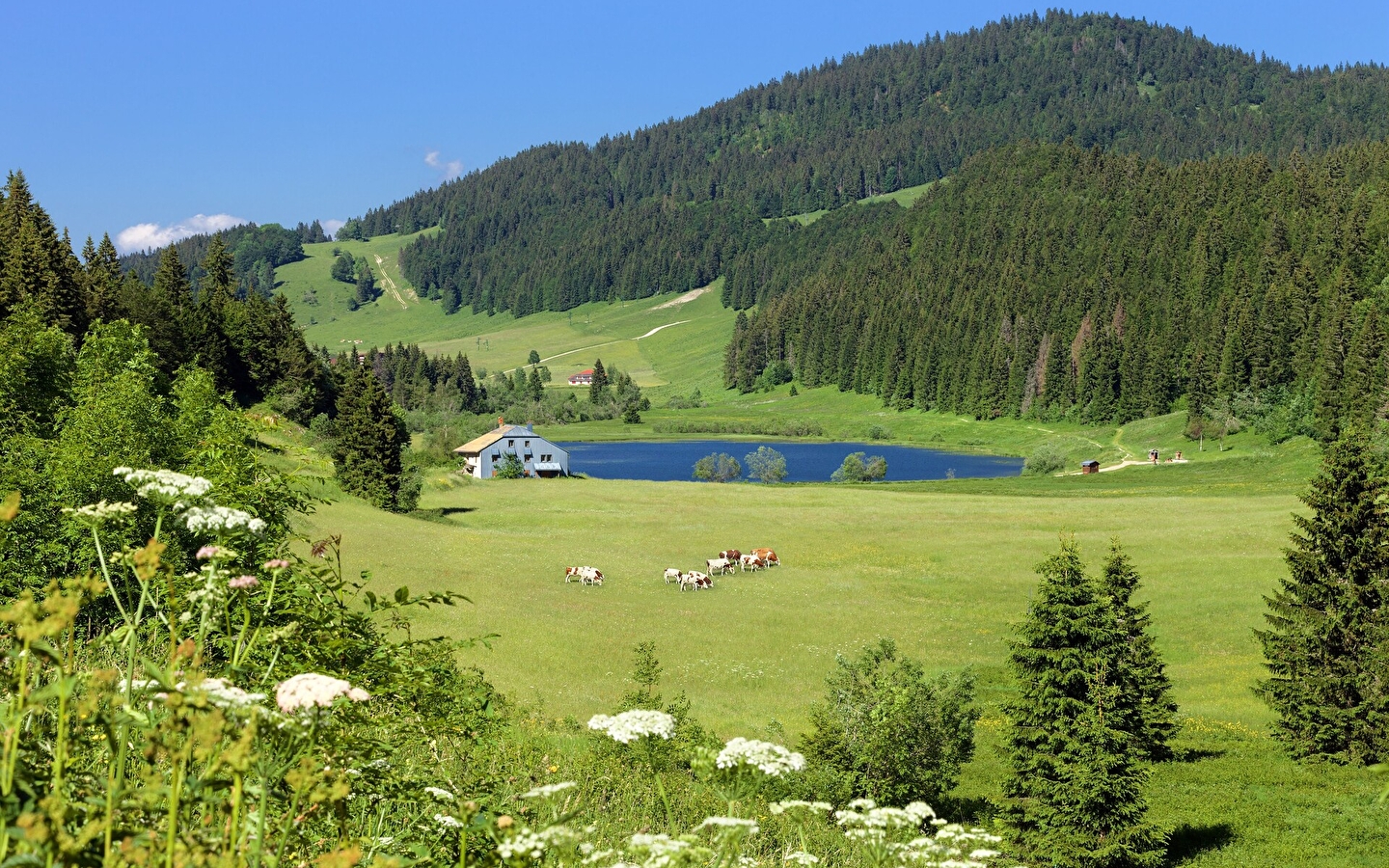 Boucle 9 : Lac de Lamoura-Valserine