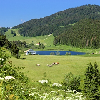 Boucle 9 : Lac de Lamoura-Valserine - PREMANON