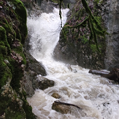 Cascade le Pisson
