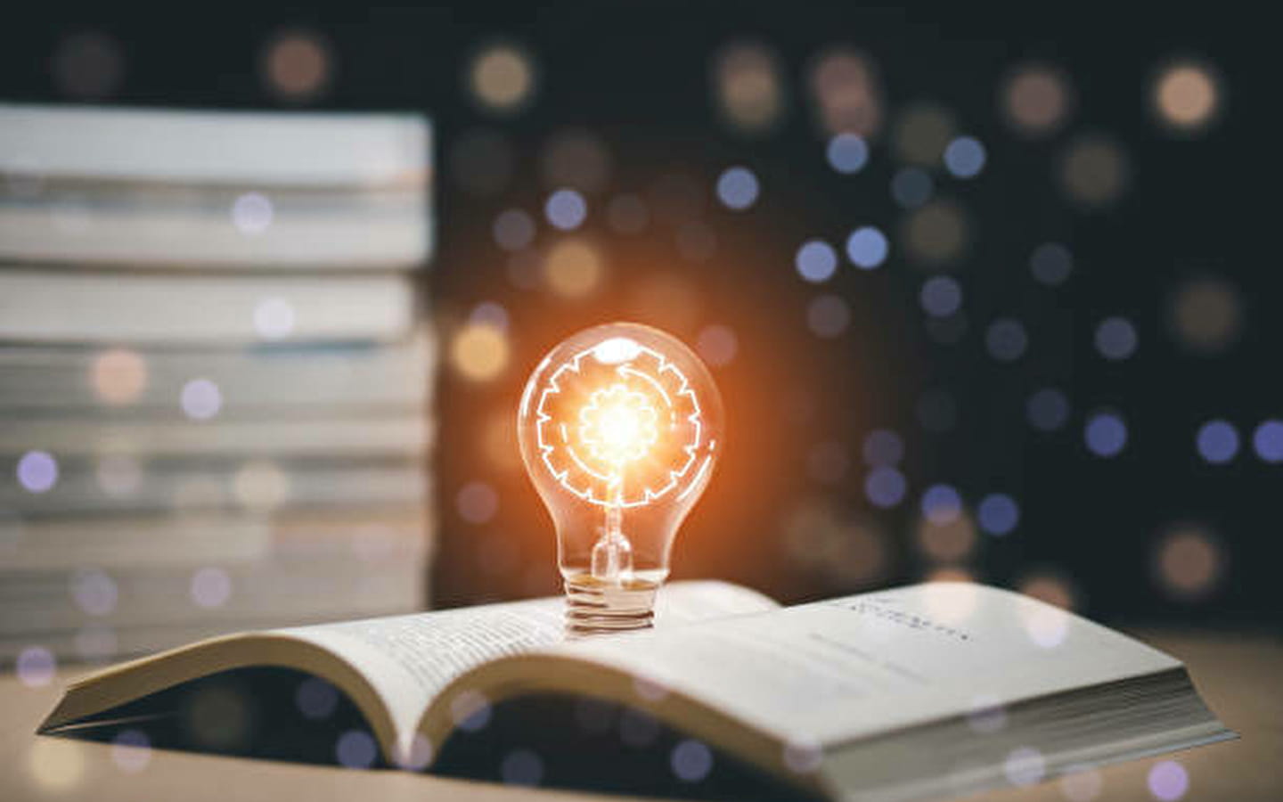 Conférence atelier 'prévention des conflits'