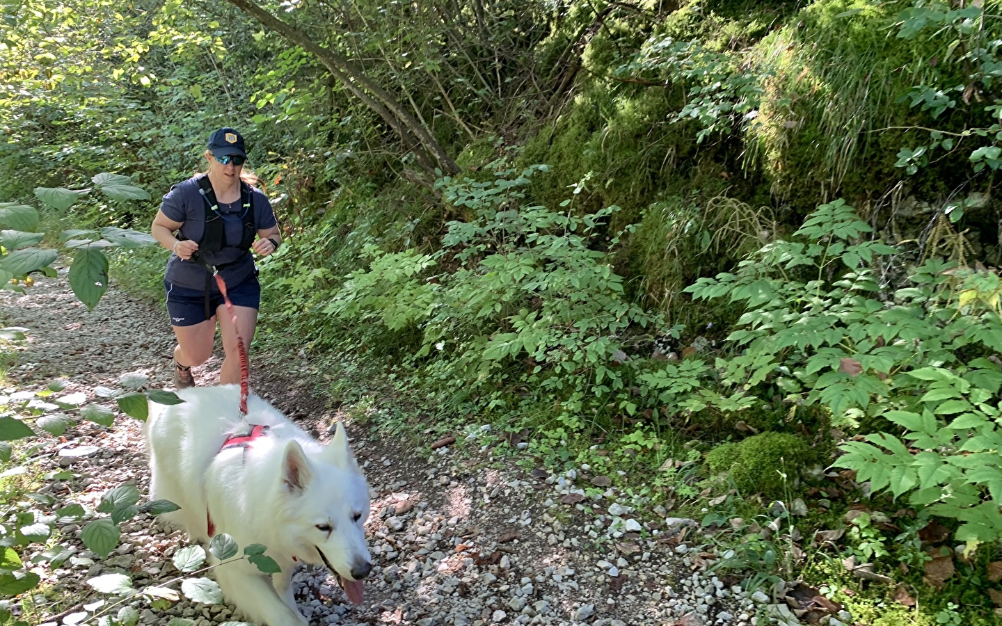 Parcours initiation Cani'trail de Nantua
