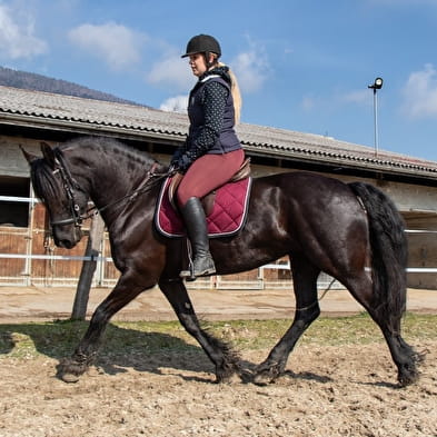 Varfeuil Equitation