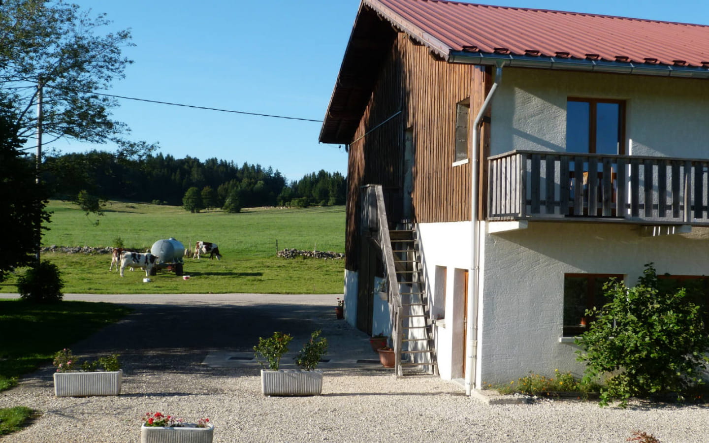 Appartement - Narcisse