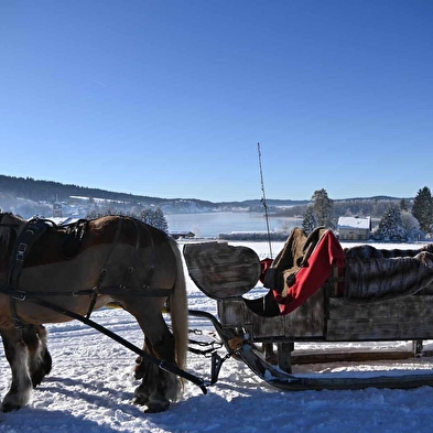 La calèche des Chauvins