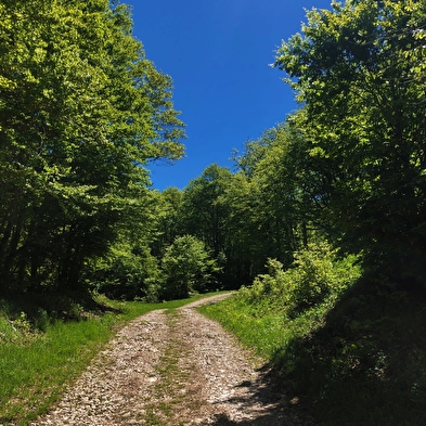 Grandes Traversées du Jura (GTJ) : Itinéraire VTT de Mandeure à Culoz via La Praille sur le Plateau d'Hauteville