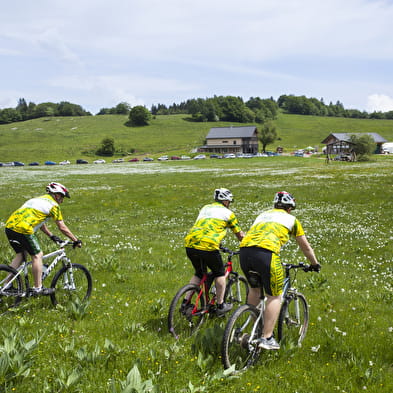 Parcours VTT 31 bleu - Les fermes de Retord - Espace FFC Ain Forestière