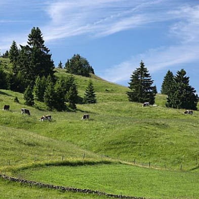 Balade en roulotte dans le Haut-Jura