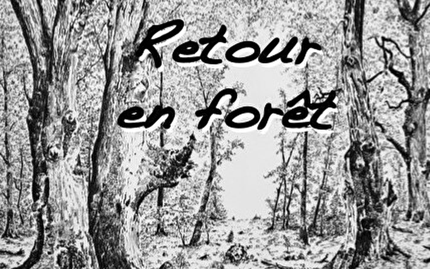 Retour en forêt