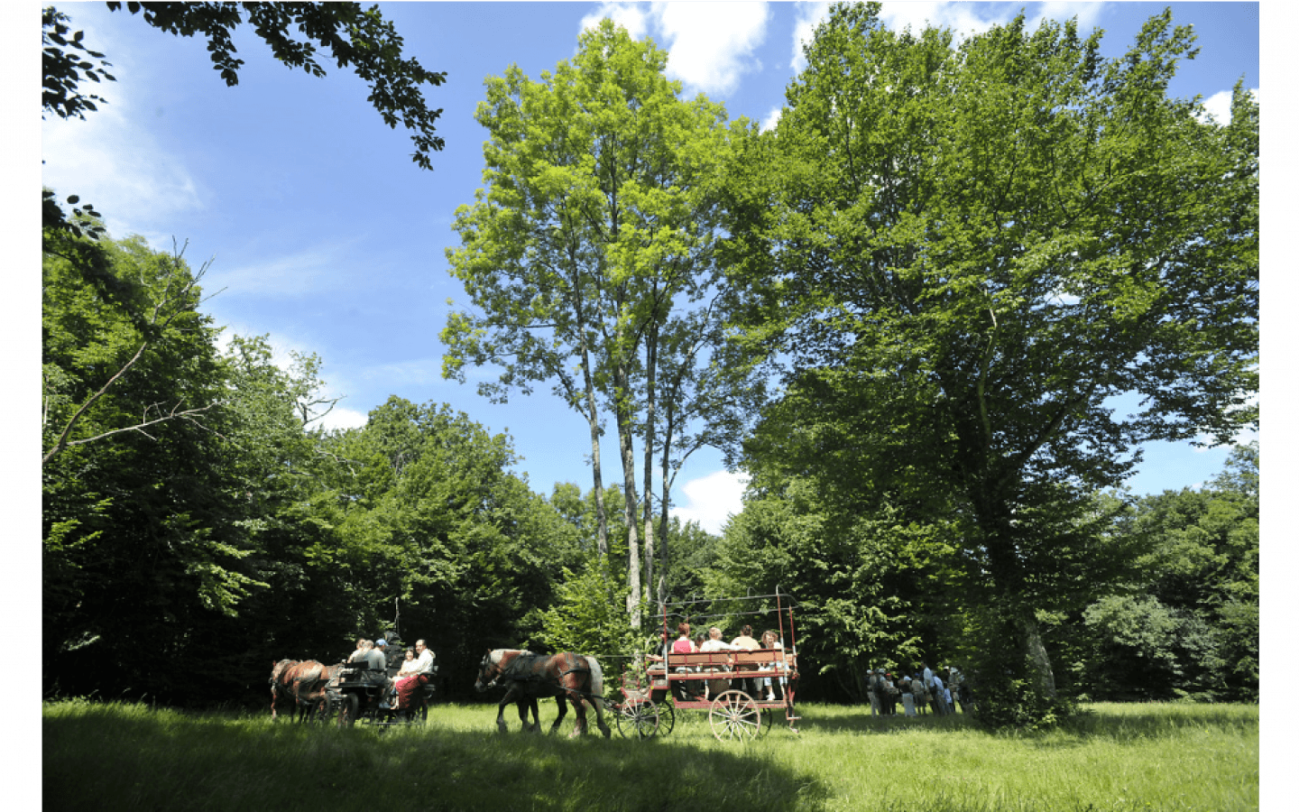 La Fontaine des Acacias