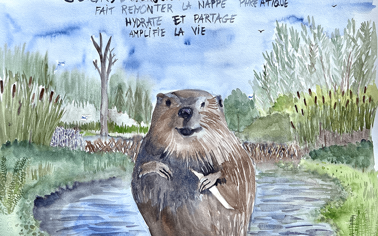 Exposition : La Parabole du Bièvre