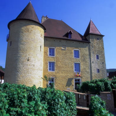 Balades entre les vignes : Arbois